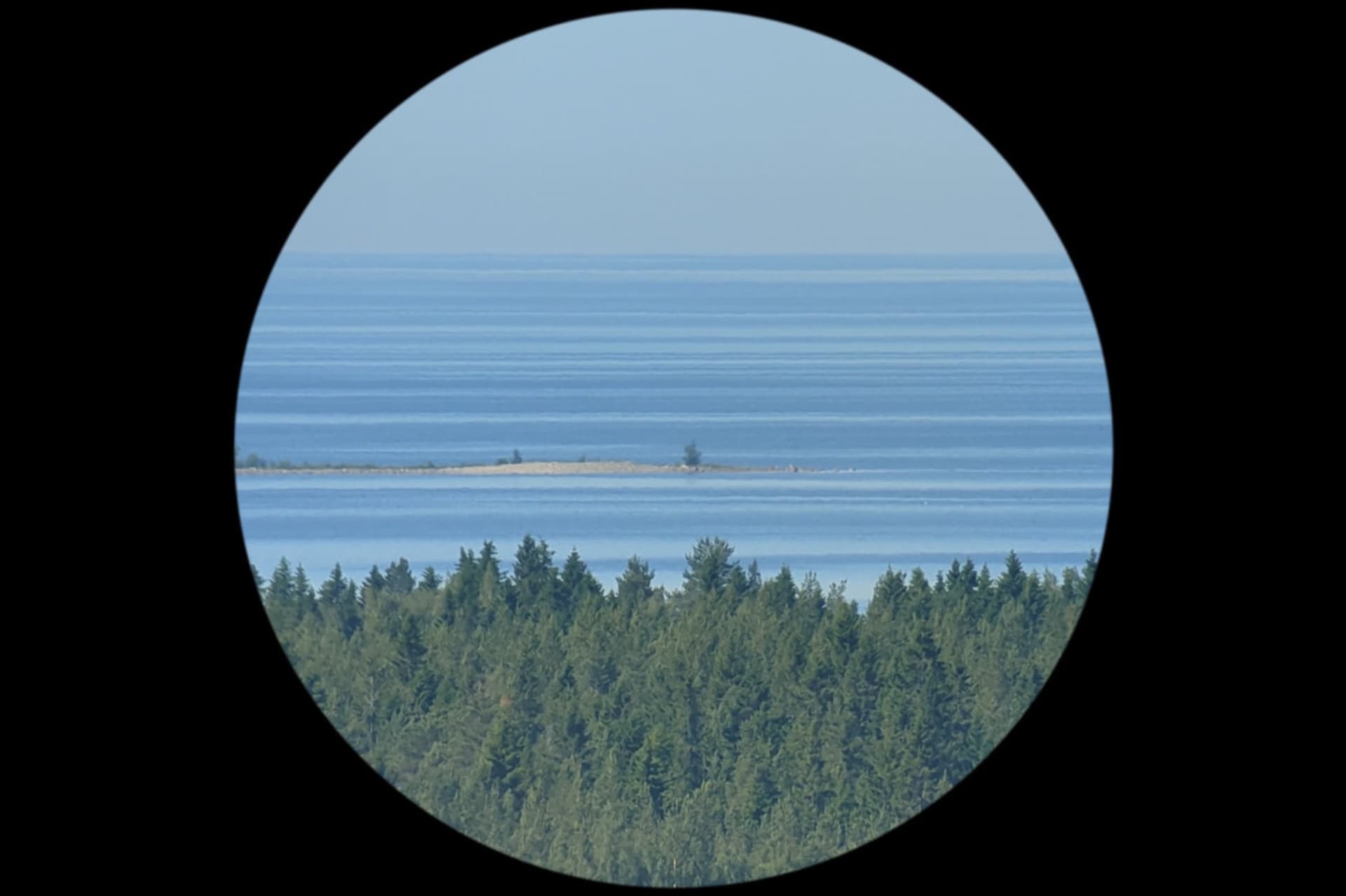 Salla Myllylä: Kajavakari 2025