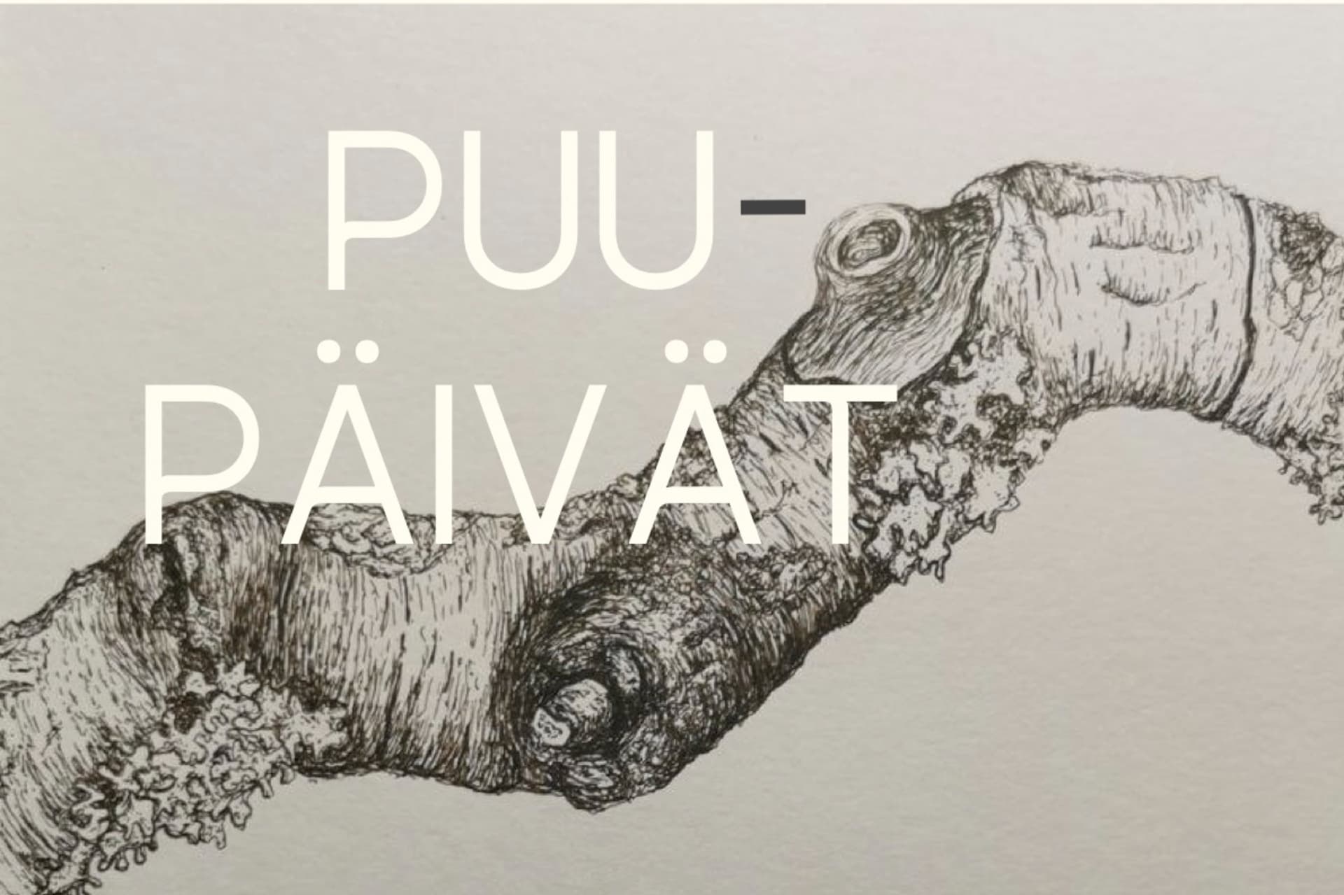 Puupäivät