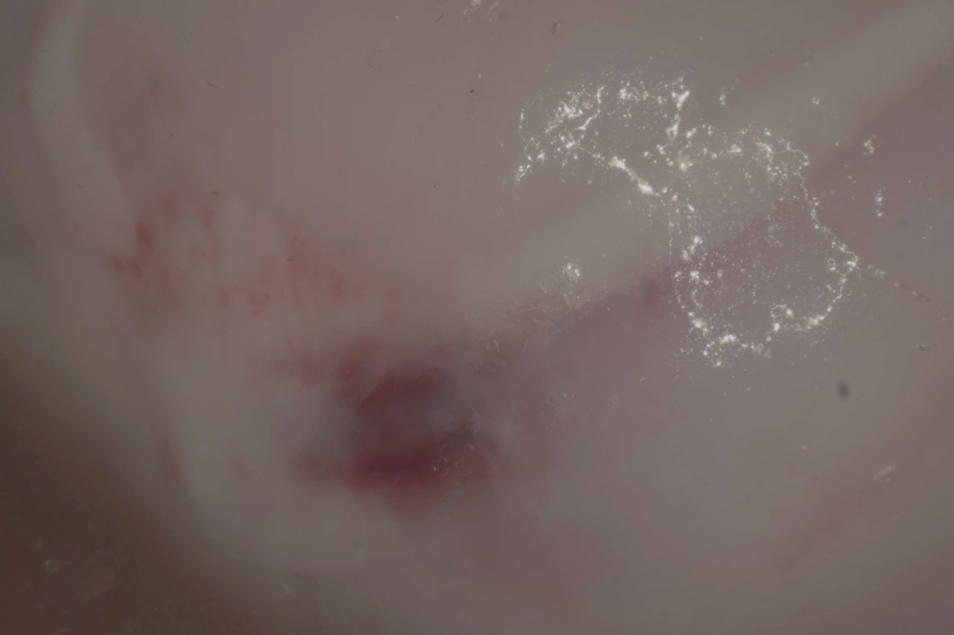 Maria Koskivirta: The Universe Is a Machine (2025)