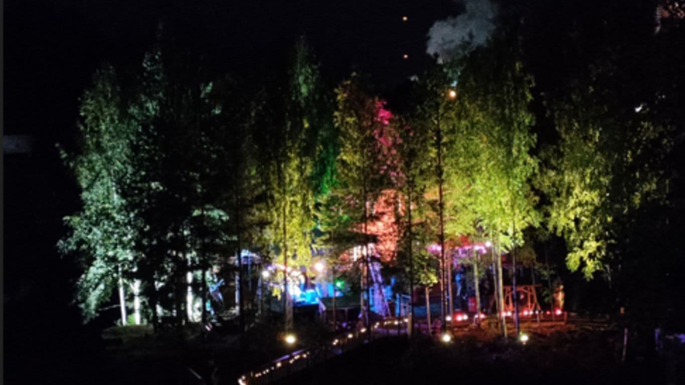 Kuvassa valaistu tehdassaaren rannassa kasvava puut. Muu ympäristö on pimeä