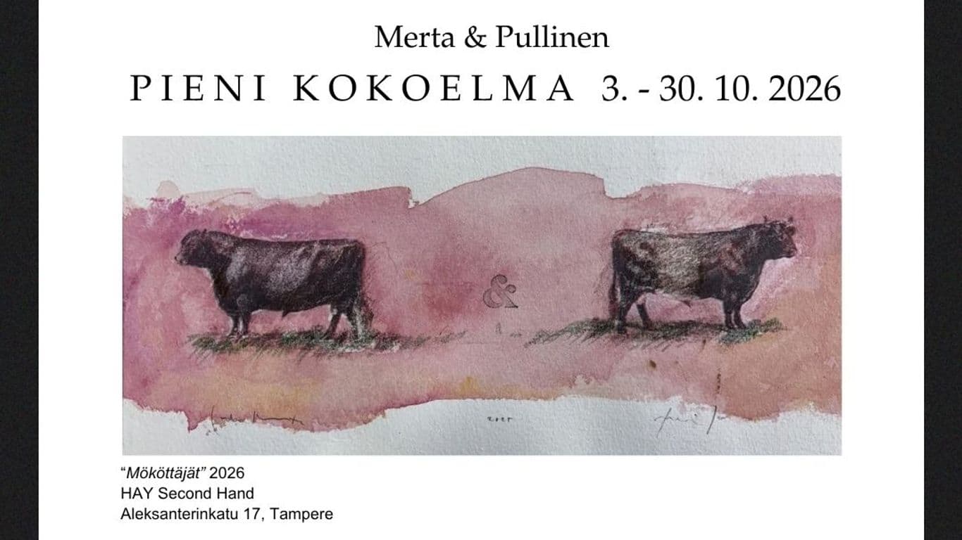 M&P / JUHA MERTA JA JOUKO PULLINEN - Pieni kokoelma / Art Exhibition