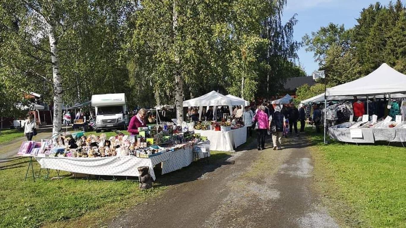 Markkinakojuja