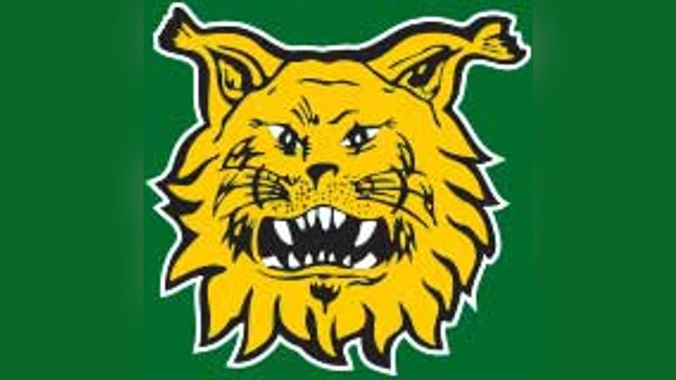 Auroraliiga Ilves - Kiekko-Espoo