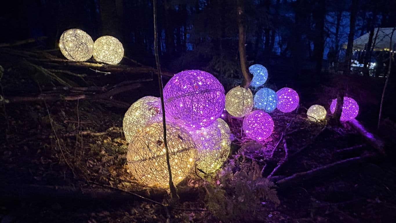Värikkäitä valopalloja metsässä