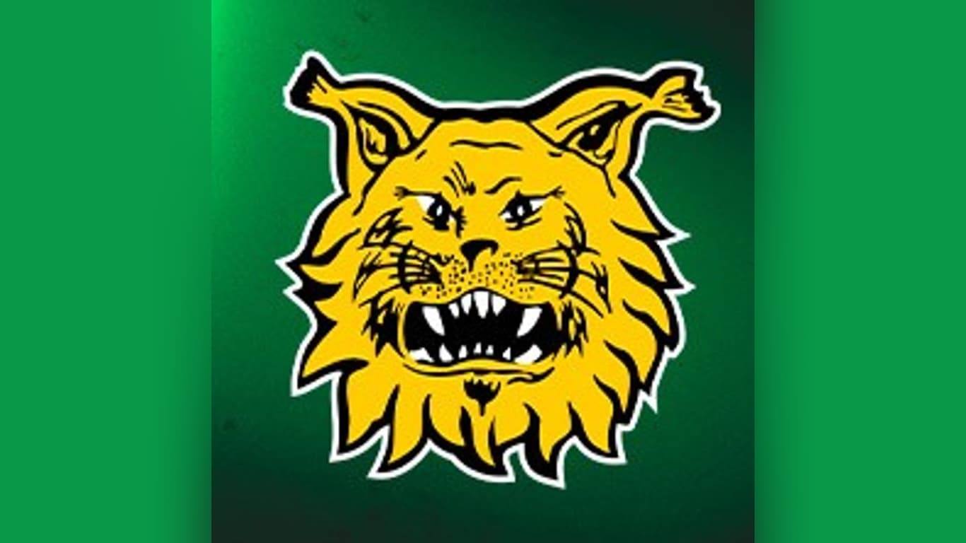 Ilves - Jukurit