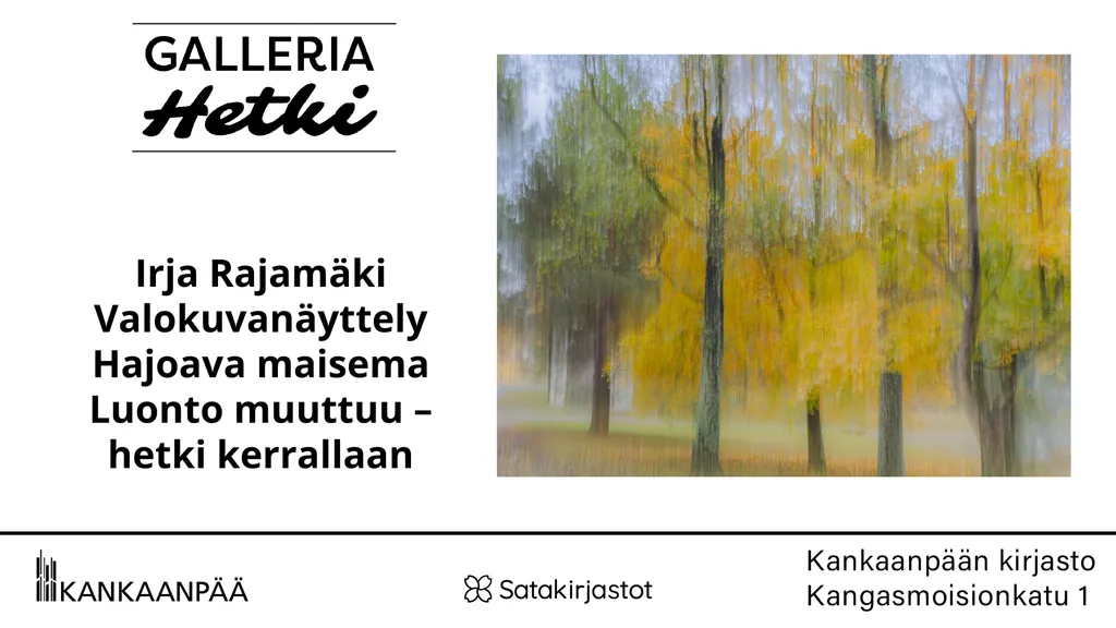 Irja Rajamäki: Hajoava maisema