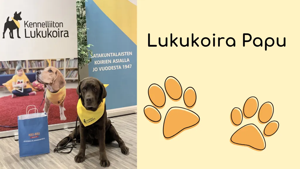 Lukukoira Papu