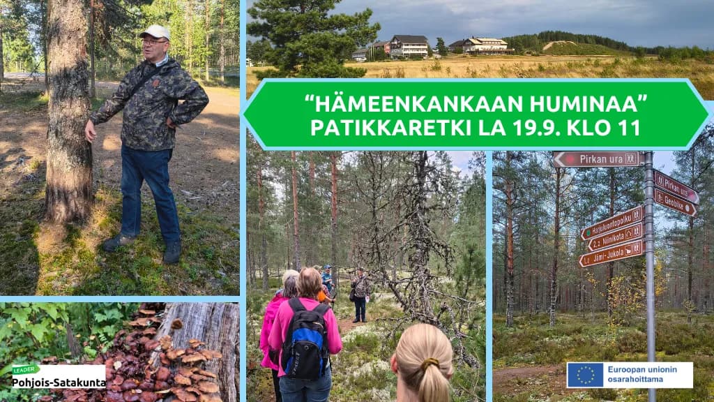 Hämeenkankaan huminaa -patikkaretki
