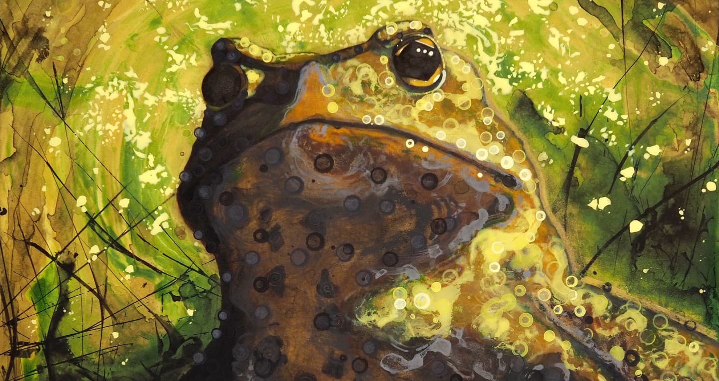 Ville Hiltunen: Ribbit 1000011 (taidenäyttely)