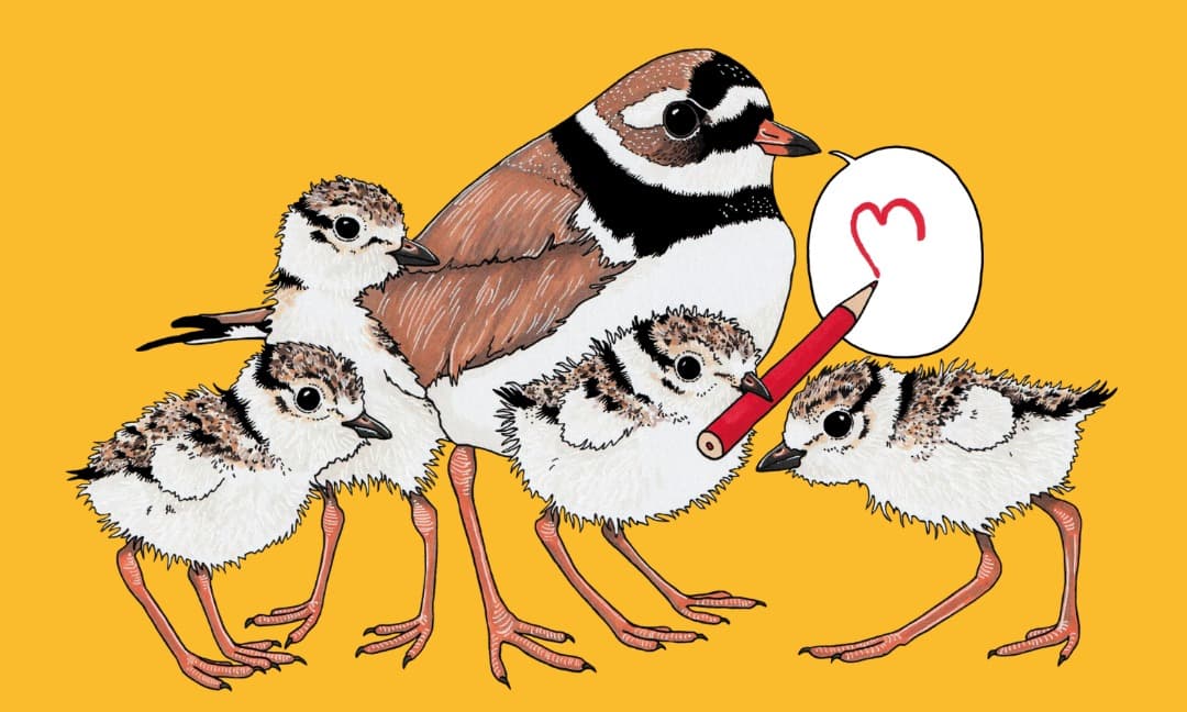 Barnseriefestivalen – Helsinki Comics Festival