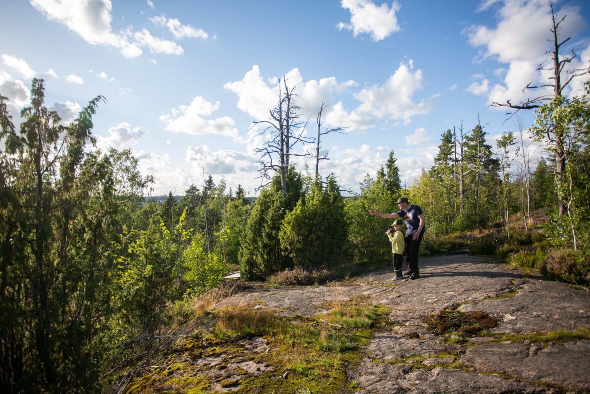 Hallainvuoren metsää ja peltomaisemia