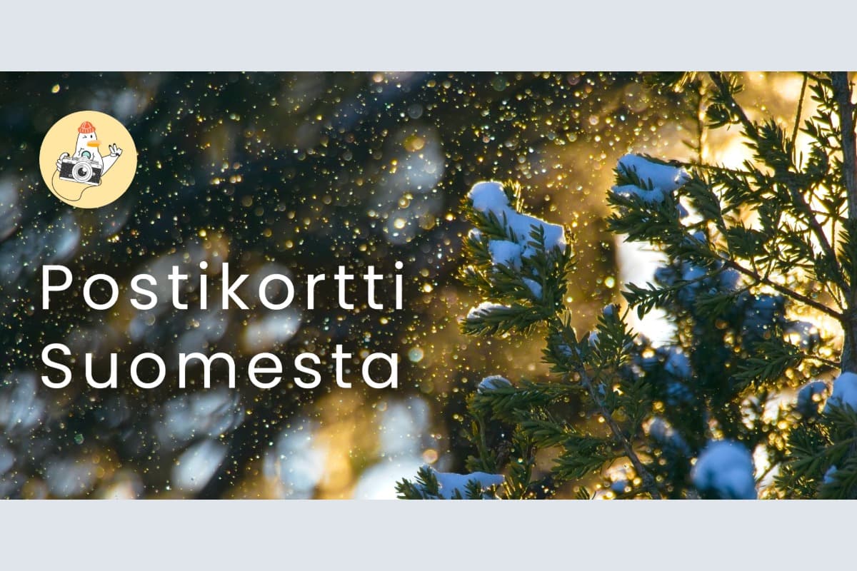 Art exhibition: Postikortti Suomesta