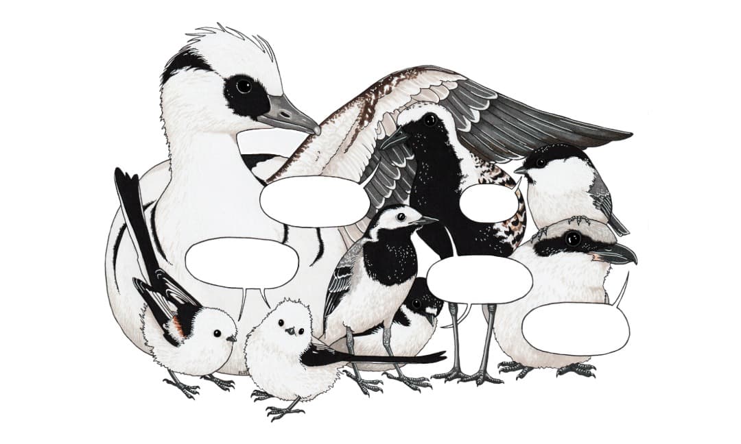Festival Artist Emilia Laatikainen – Helsinki Comics Festival
